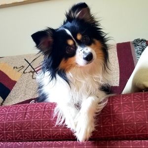 Meet your Posher, Heather